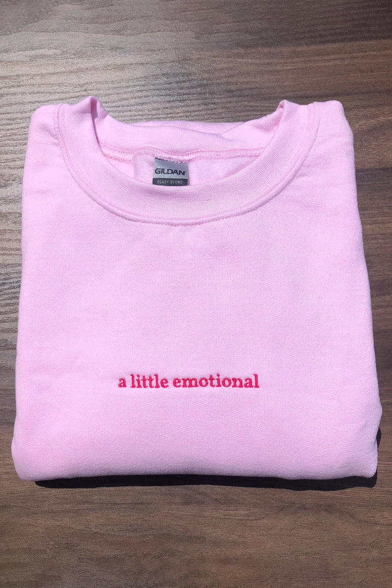 A Little Emotional Embroidered Sweatshirt