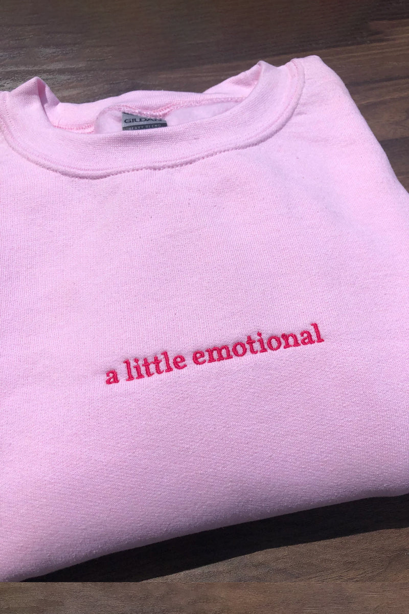 A Little Emotional Embroidered Sweatshirt